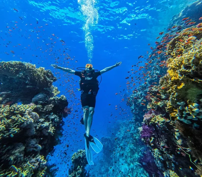 Maldive del Sinai – Isola Bianca e Ras Mohammed — 6