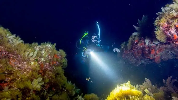 PADI Advanced Open Water Diver Course – Sharm El Sheikh — 8