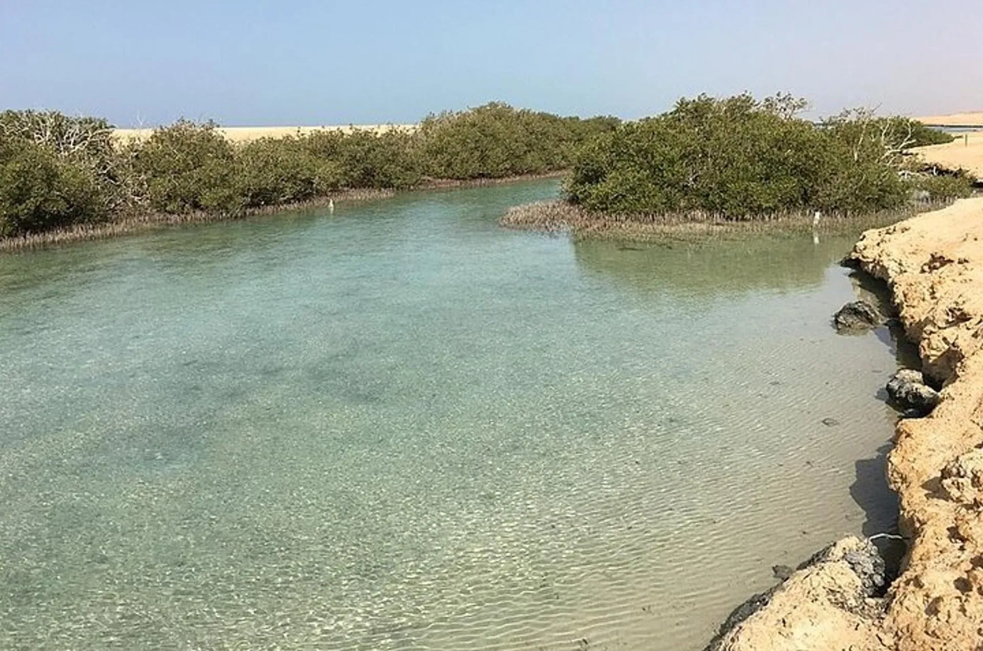 Ras Mohammed National Park – Half-Day Bus Tour — 8
