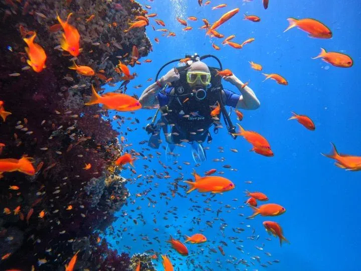 Maldive del Sinai – Isola Bianca e Ras Mohammed — 4