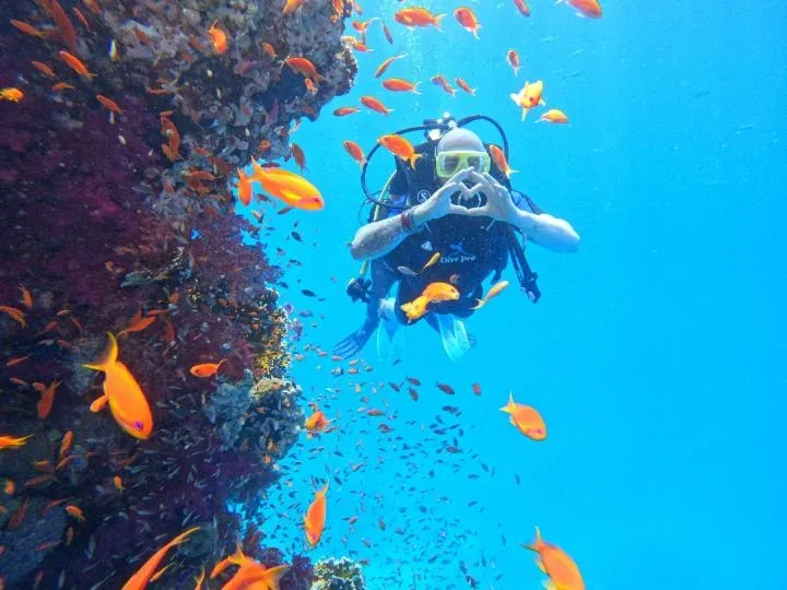 Maldive del Sinai – Isola Bianca e Ras Mohammed — 7