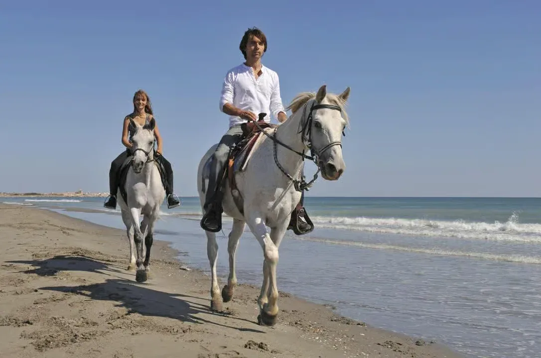 Horse Riding Safari – Desert or Sea — 7