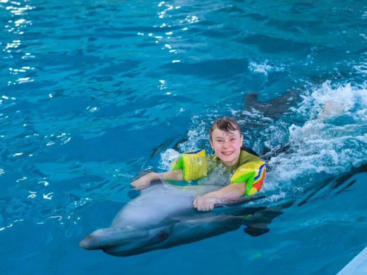Swim with Dolphins — 1