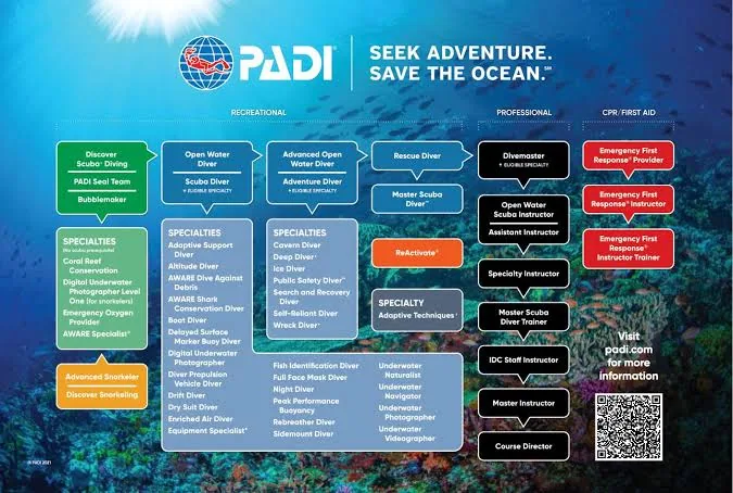 PADI Open Water Diving Course – Sharm El Sheikh — 8