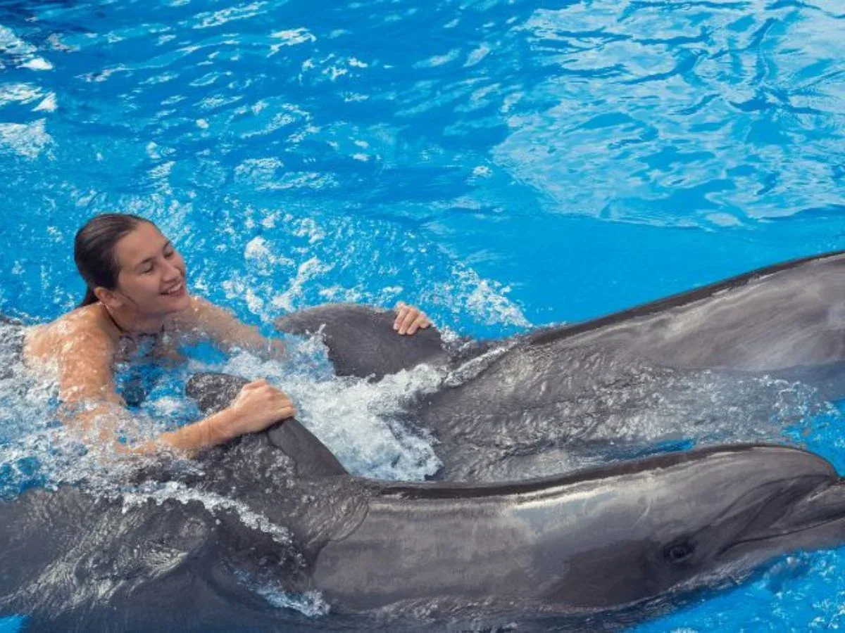 Swim with Dolphins — 4